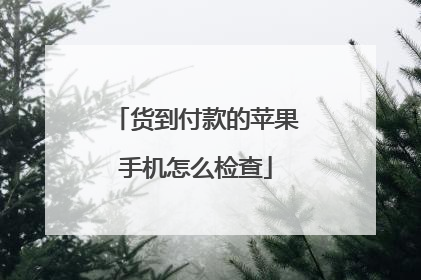 货到付款的苹果手机怎么检查