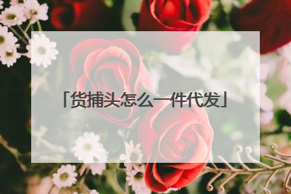 货捕头怎么一件代发