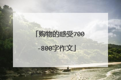 购物的感受700-800字作文
