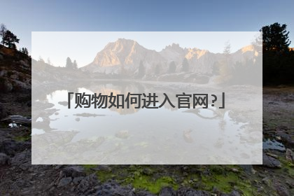 购物如何进入官网?