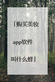 购买美妆app软件叫什么蜂