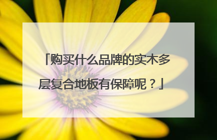 购买什么品牌的实木多层复合地板有保障呢?