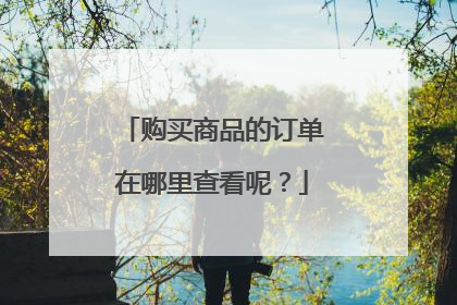 购买商品的订单在哪里查看呢?