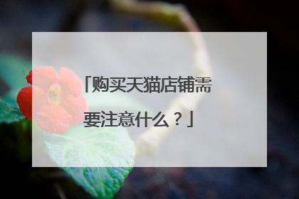 购买天猫店铺需要注意什么？