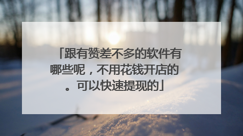 跟有赞差不多的软件有哪些呢,不用花钱开店的。可以快速提现的