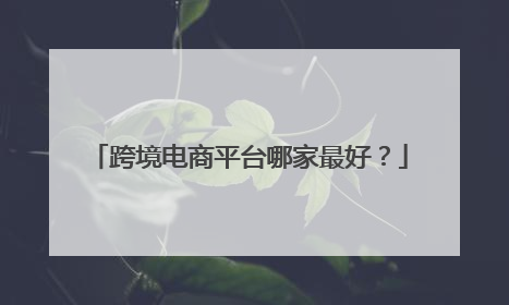 跨境电商平台哪家最好?