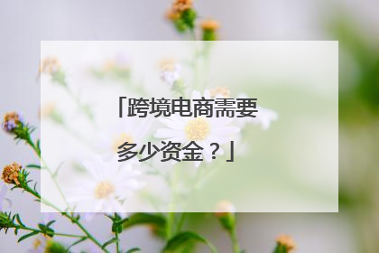 跨境电商需要多少资金?