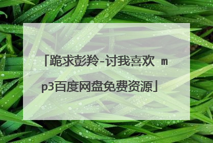 跪求彭羚-讨我喜欢 mp3百度网盘免费资源