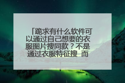 跪求有什么软件可以通过自己想要的衣服图片搜同款？不是通过衣服特征搜 而是通过衣服图片搜