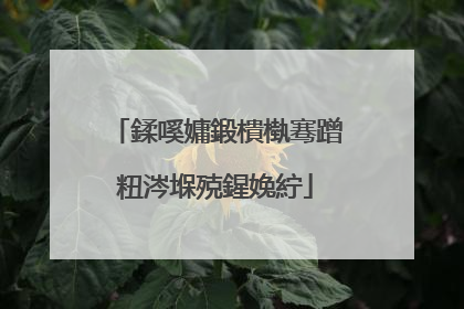 鍒嗘嫞鍛樻槸骞蹭粈涔堢殑鍟婏紵
