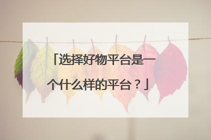 选择好物平台是一个什么样的平台?