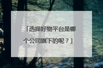 选择好物平台是哪个公司旗下的呢？