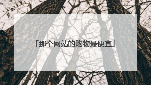 那个网站的购物最便宜