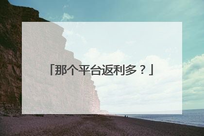 那个平台返利多?
