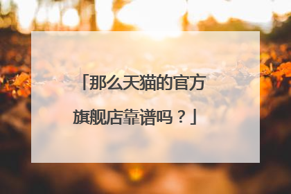 那么天猫的官方旗舰店靠谱吗？