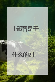 郑智是干什么的?