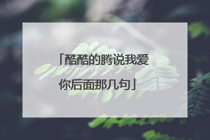 酷酷的腾说我爱你后面那几句