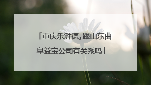 重庆乐湃德,跟山东曲阜益宝公司有关系吗