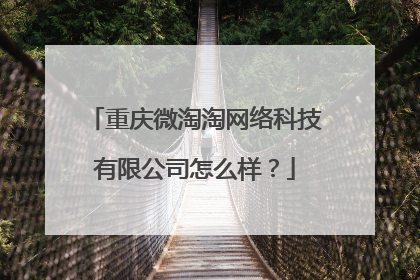 重庆微淘淘网络科技有限公司怎么样？