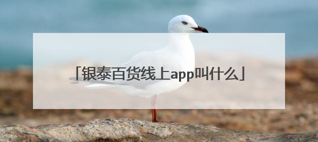 银泰百货线上app叫什么