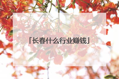 长春什么行业赚钱