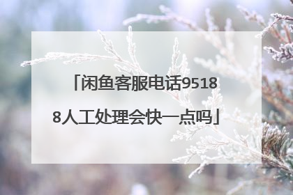 闲鱼客服电话95188人工处理会快一点吗