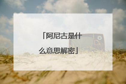 阿尼古是什么意思解密
