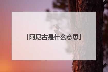 阿尼古是什么意思