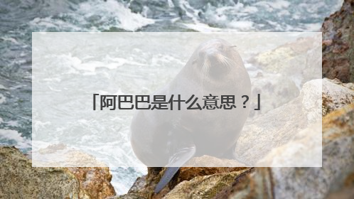 阿巴巴是什么意思？