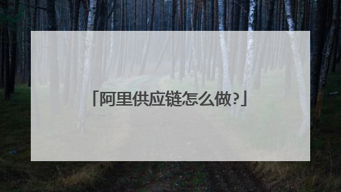阿里供应链怎么做?