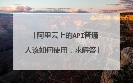 阿里云上的API普通人该如何使用,求解答