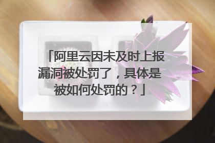 阿里云因未及时上报漏洞被处罚了，具体是被如何处罚的？