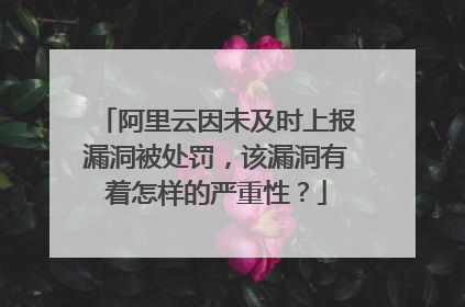 阿里云因未及时上报漏洞被处罚，该漏洞有着怎样的严重性？