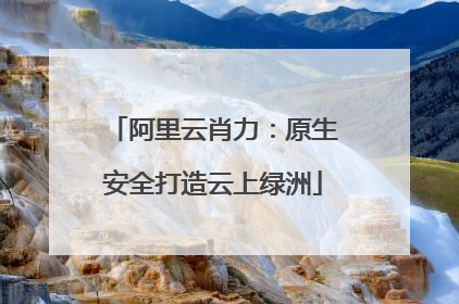 阿里云肖力:原生安全打造云上绿洲