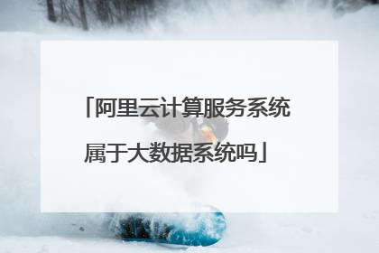 阿里云计算服务系统属于大数据系统吗