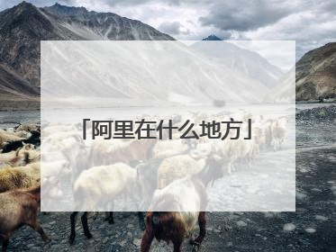阿里在什么地方