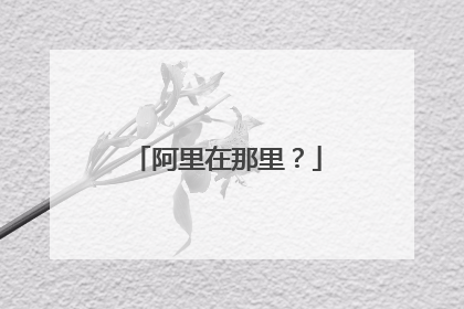 阿里在那里？