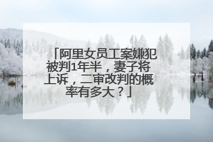 阿里女员工案嫌犯被判1年半，妻子将上诉，二审改判的概率有多大？