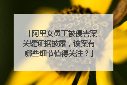 阿里女员工被侵害案关键证据披露,该案有哪些细节值得关注?