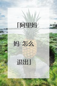阿里妈妈 怎么退出