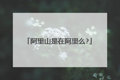 阿里山是在阿里么?