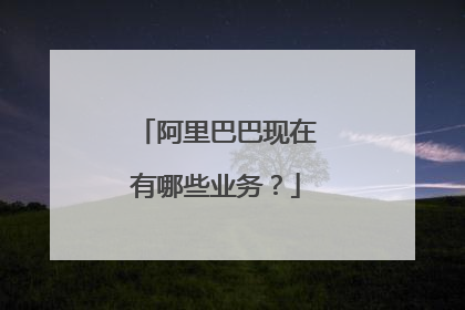 阿里巴巴现在有哪些业务?