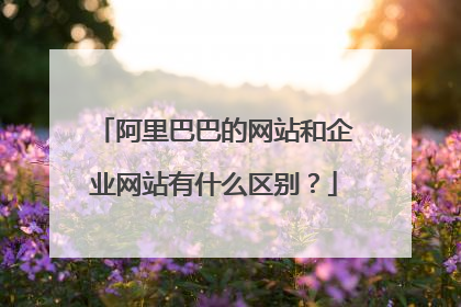 阿里巴巴的网站和企业网站有什么区别?