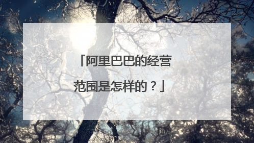 阿里巴巴的经营范围是怎样的?