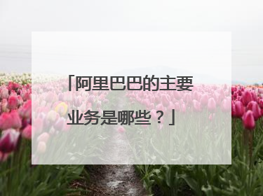 阿里巴巴的主要业务是哪些?