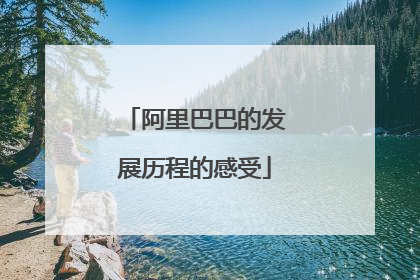阿里巴巴的发展历程的感受