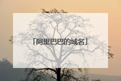 阿里巴巴的域名