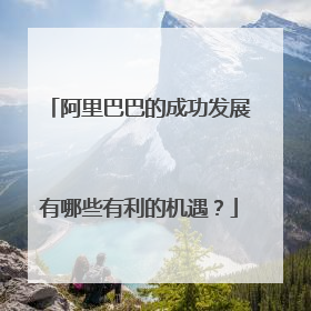 阿里巴巴的成功发展有哪些有利的机遇?