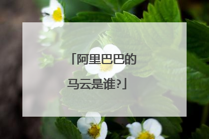 阿里巴巴的马云是谁?