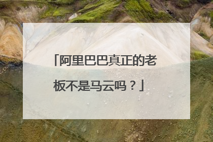 阿里巴巴真正的老板不是马云吗？